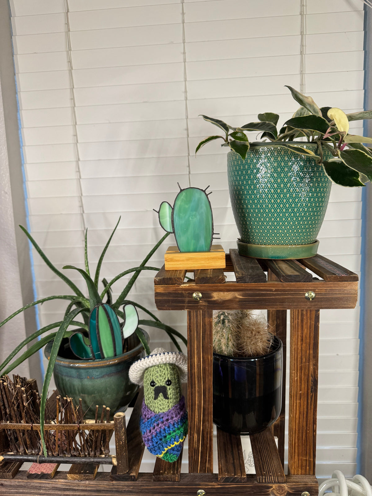 The Desert Bloom Collection