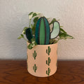 Mojave Cactus