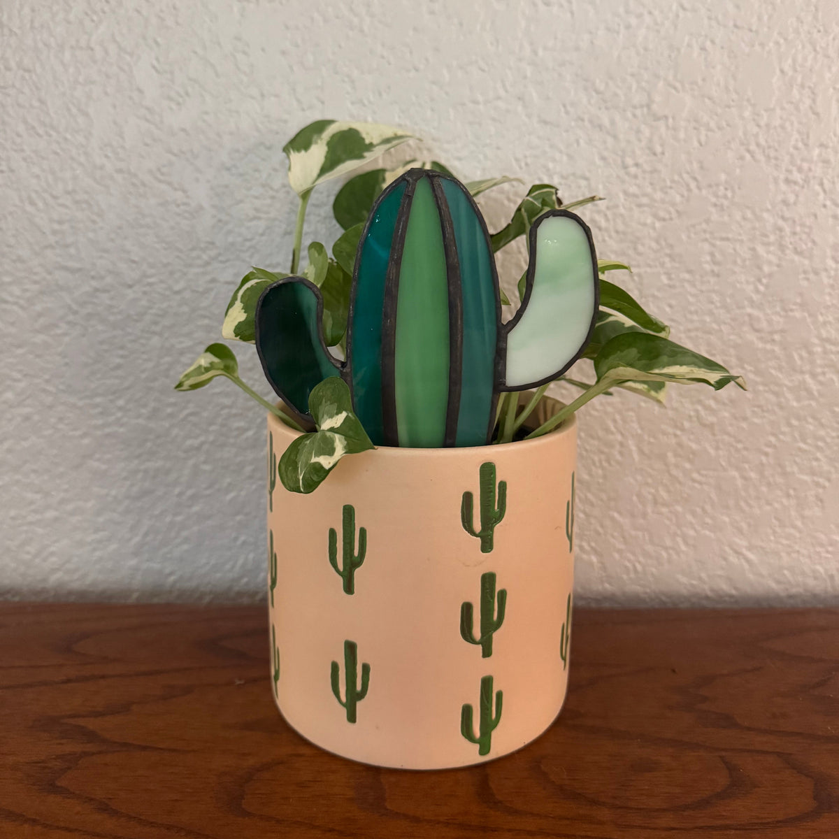 Mojave Cactus