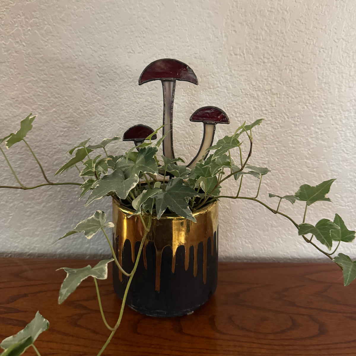 Shimi Mushrooms
