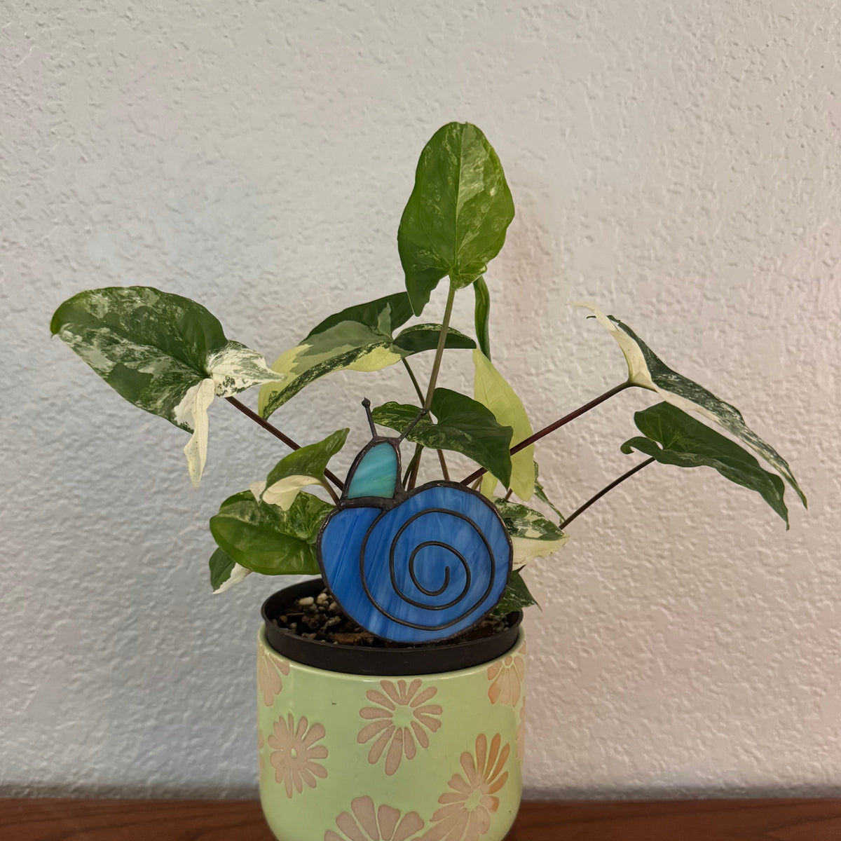 Snail No. 3 - Marlow