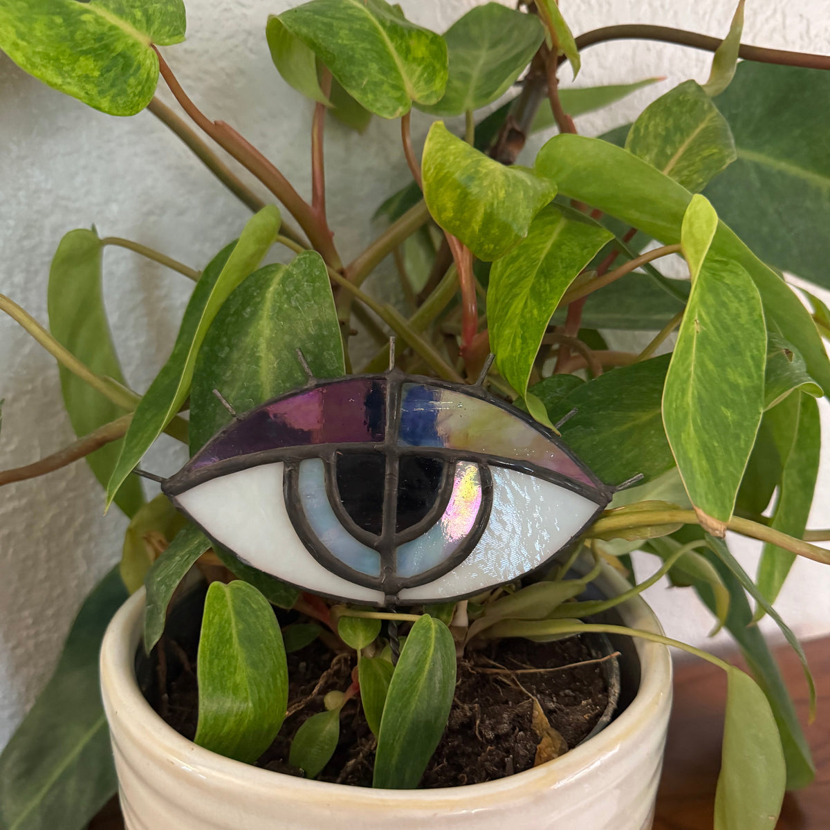 Evil Eye
