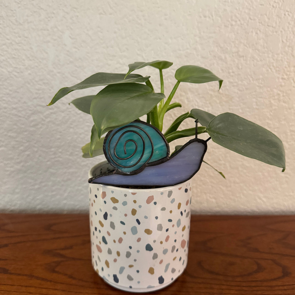 Snail No. 1 - Pip