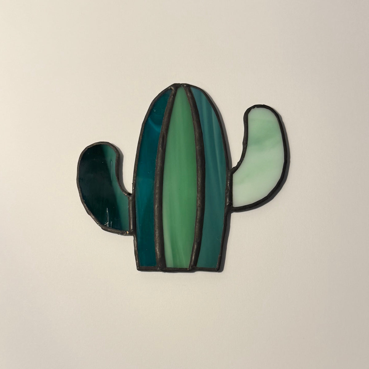 Mojave Cactus