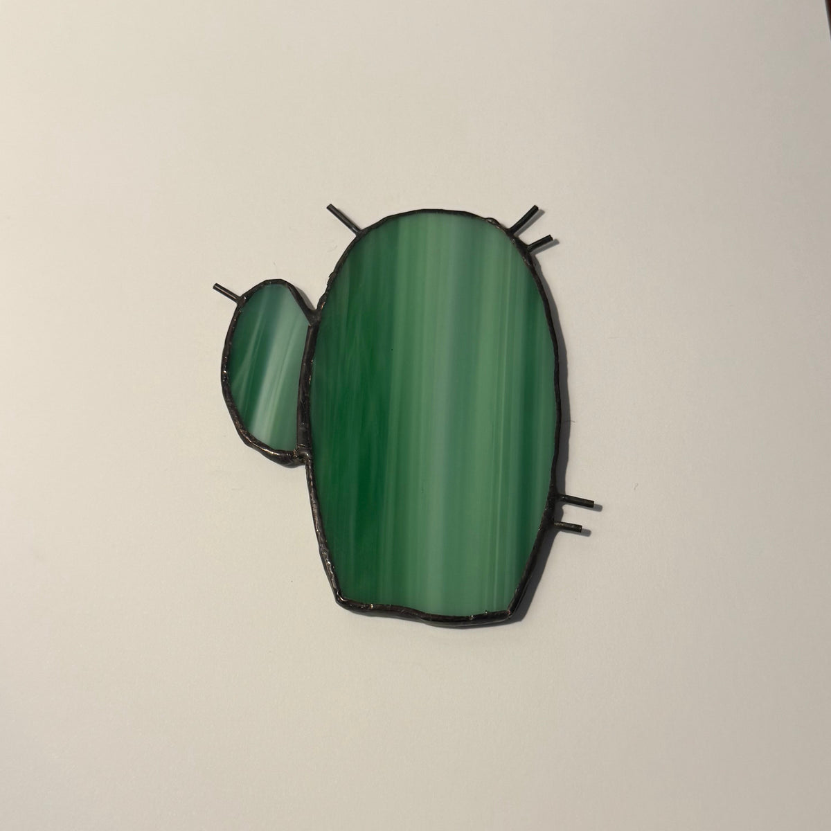 Pepper Cactus