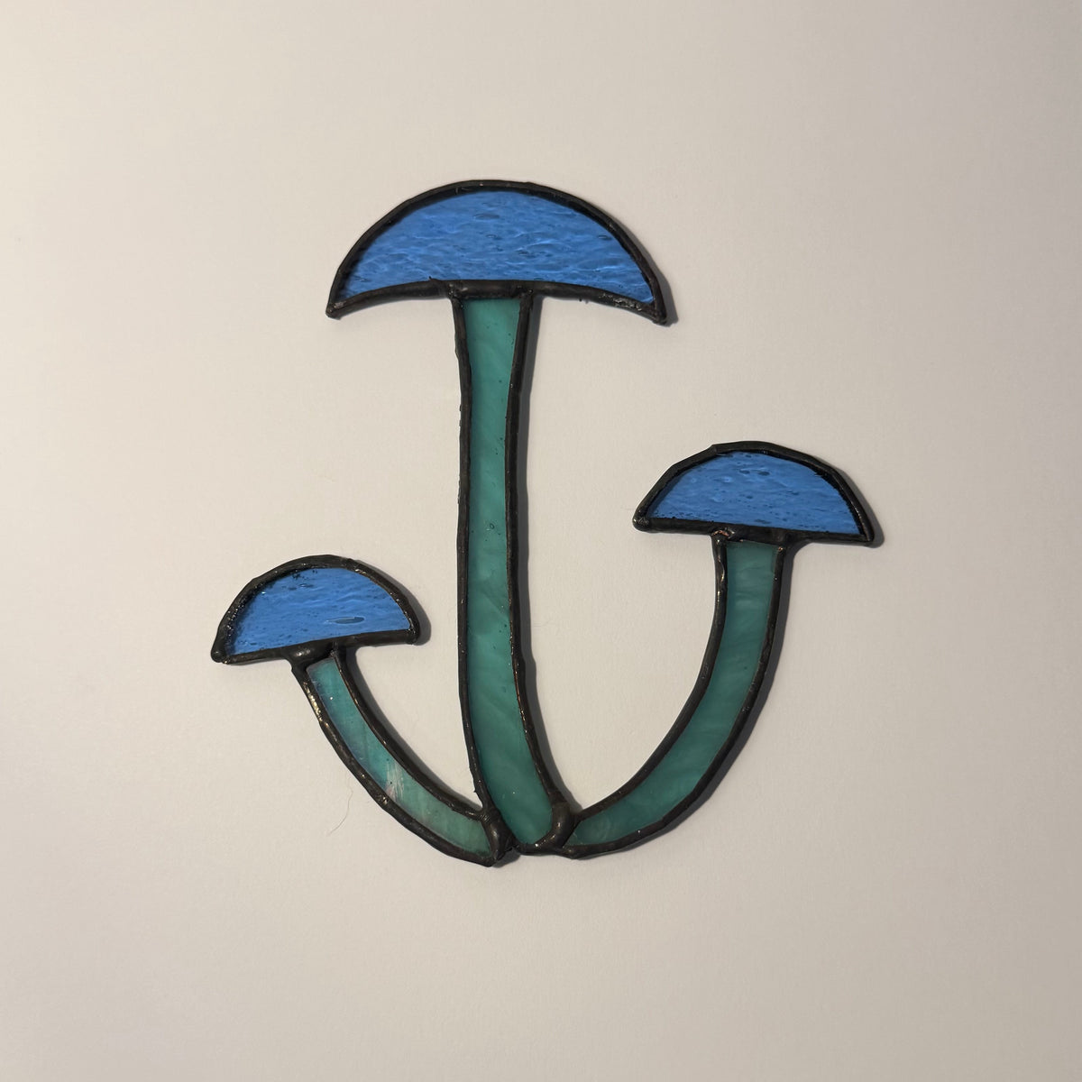 Shimi Mushrooms
