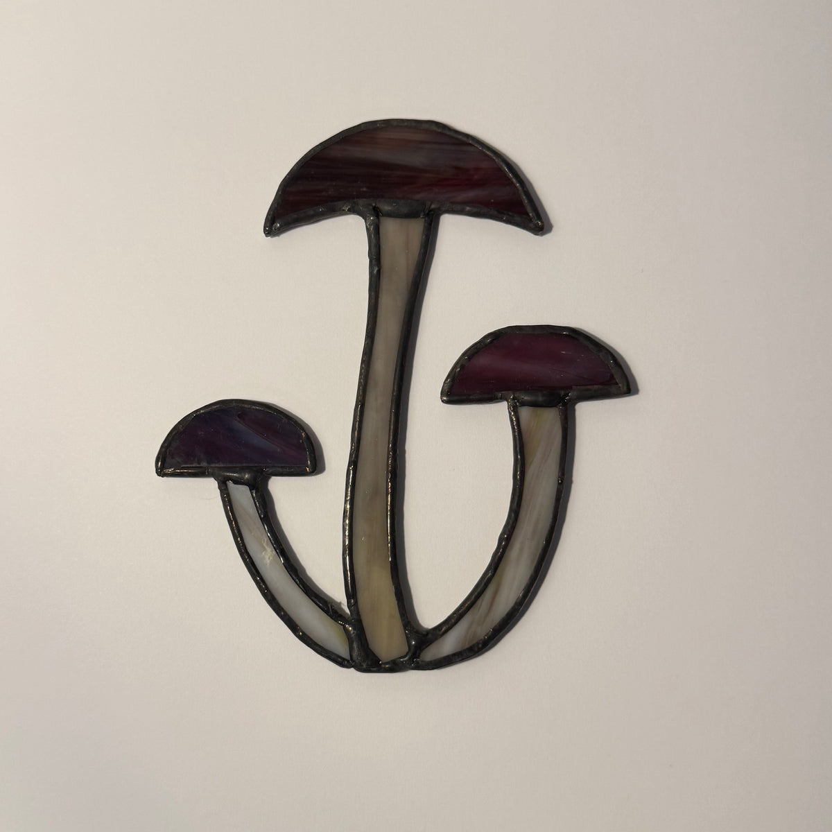Shimi Mushrooms