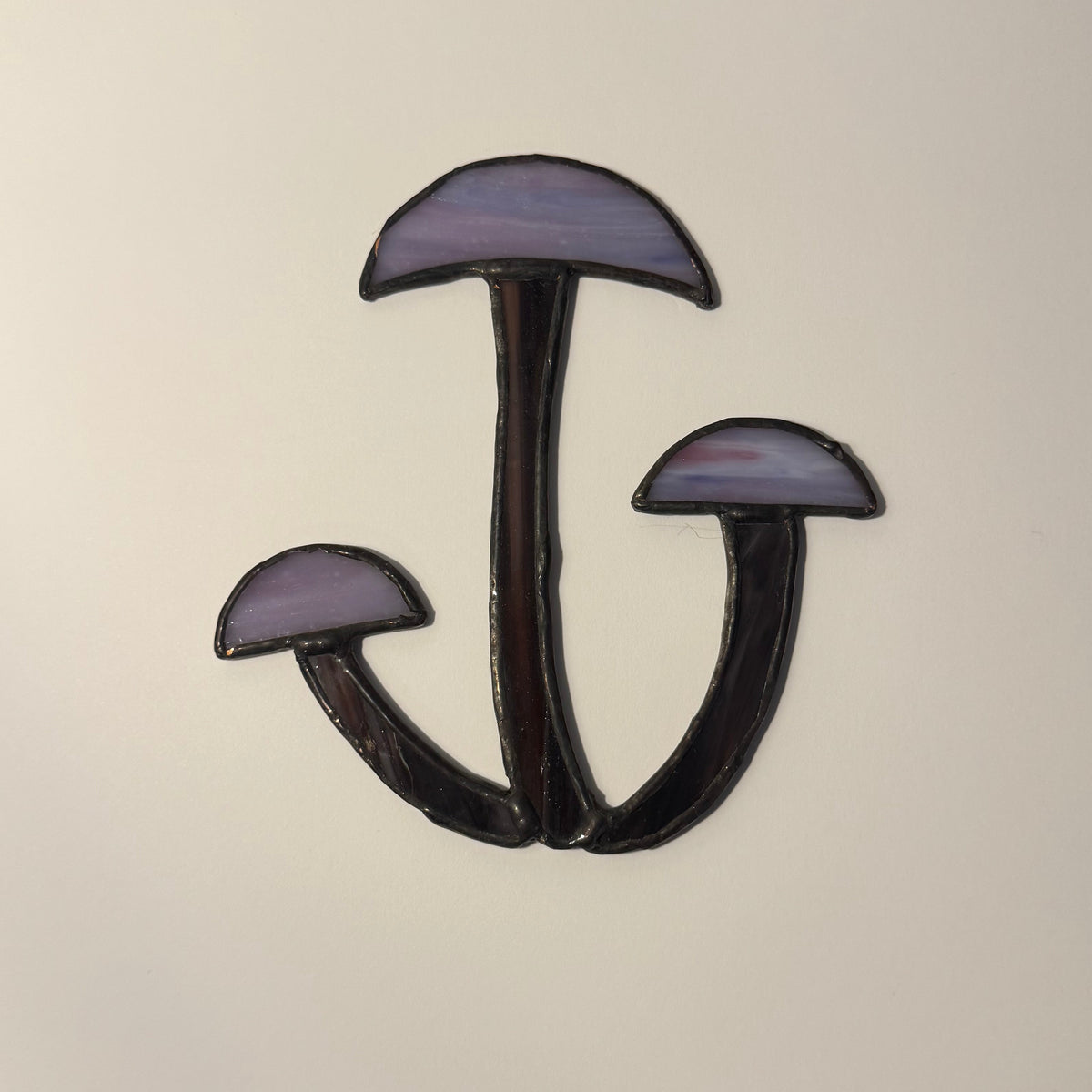 Shimi Mushrooms
